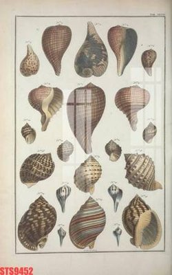 File tranh Tranh sơn dầu phương tây tổng hợp STS9452 (ảnh gốc) in trần xuyên sáng