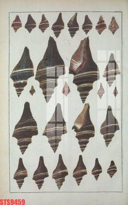 File PSD in ấn Tranh sơn dầu phương tây tổng hợp STS9459 (chất lượng cao)