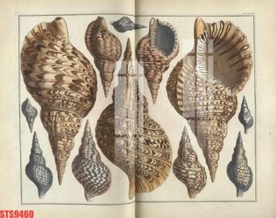 File tranh Tranh sơn dầu phương tây tổng hợp STS9460 (ảnh gốc) độc quyền