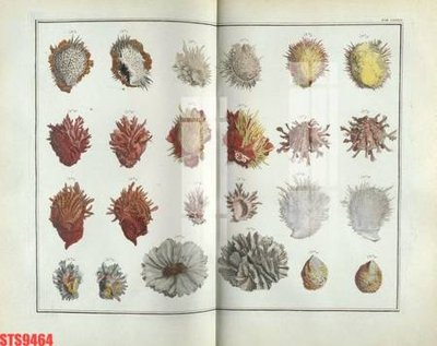 Tải file Tranh sơn dầu phương tây tổng hợp STS9464 (gốc) in nhanh