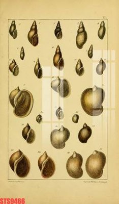 File tranh Tranh sơn dầu phương tây tổng hợp STS9466 (ảnh gốc) in trần nhà