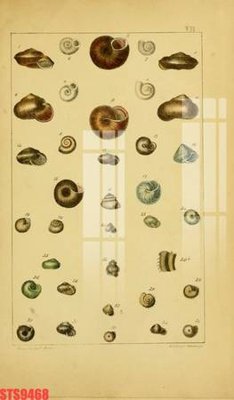 File gốc Tranh sơn dầu phương tây tổng hợp STS9468 (vector) cho in ấn