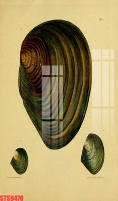 Tải file Tranh sơn dầu phương tây tổng hợp STS9470 (ảnh gốc) độ phân giải 300dpi