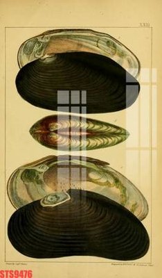 File gốc Tranh sơn dầu phương tây tổng hợp STS9476 (in lụa) cao cấp