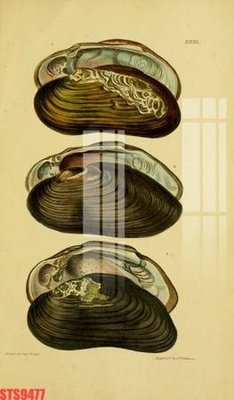 File tranh gốc Tranh sơn dầu phương tây tổng hợp STS9477 chủ đề hiện đại