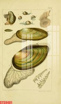 File tranh gốc Tranh sơn dầu phương tây tổng hợp STS9481 (bản quyền) Filetranh.com