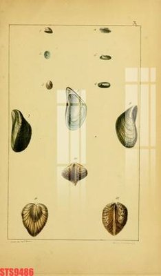 File ảnh gốc Tranh sơn dầu phương tây tổng hợp STS9486 không vỡ nét