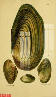 File in lụa Tranh sơn dầu phương tây tổng hợp STS9487 (chất lượng cao) Tranh sơn dầu phương tây tổng hợp STS9487