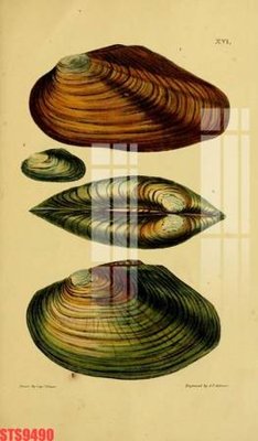 Tải file Tranh sơn dầu phương tây tổng hợp STS9490 (ảnh gốc) in tranh kính