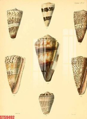 File tranh Tranh sơn dầu phương tây tổng hợp STS9492 (bản gốc) in lụa 5D