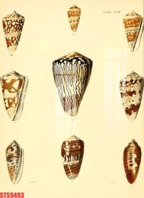 Tải file Tranh sơn dầu phương tây tổng hợp STS9493 (gốc) chủ đề hoa sen