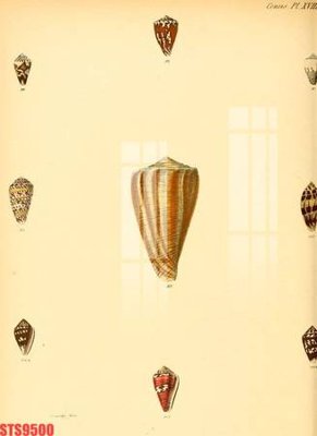 File gốc Tranh sơn dầu phương tây tổng hợp STS9500 (dành cho quảng cáo)