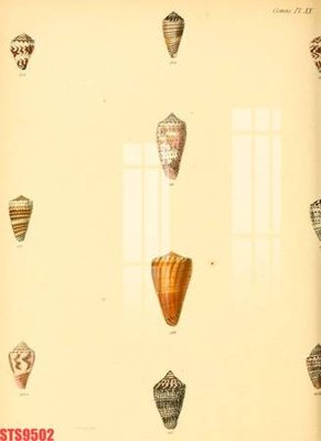 Tải file Tranh sơn dầu phương tây tổng hợp STS9502 (gốc) in ấn ngay lập tức