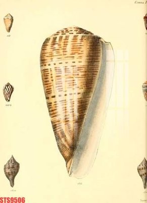 File ảnh Tranh sơn dầu phương tây tổng hợp STS9506 (gốc) dùng in Pano