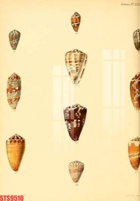 File gốc Tranh sơn dầu phương tây tổng hợp STS9510 (cho in 3D) độc đáo