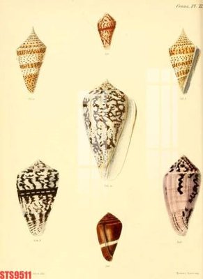 File gốc Tranh sơn dầu phương tây tổng hợp STS9511 (ảnh chi tiết) để in ấn