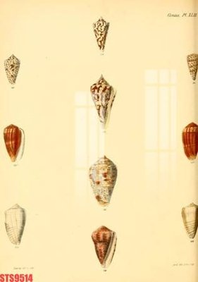 Download file gốc Tranh sơn dầu phương tây tổng hợp STS9514 (in mica) 3D