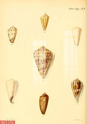 File gốc Tranh sơn dầu phương tây tổng hợp STS9520 (in lụa) hoa văn cổ điển