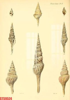 File gốc Tranh sơn dầu phương tây tổng hợp STS9524 (bản quyền) cho in ấn