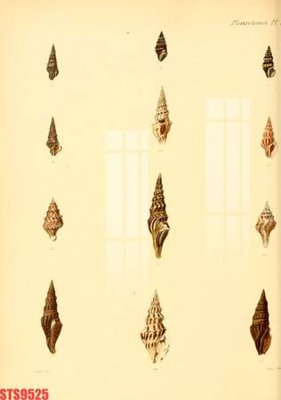 Ảnh gốc Tranh sơn dầu phương tây tổng hợp STS9525 (siêu chi tiết) để in ấn