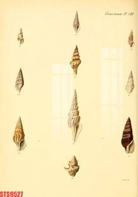 File in ấn Tranh sơn dầu phương tây tổng hợp STS9527 (bản gốc) cao cấp