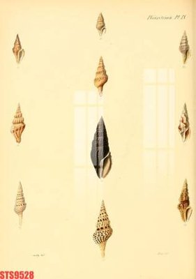 Download file gốc Tranh sơn dầu phương tây tổng hợp STS9528 (in lụa) nghệ thuật