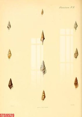 File gốc Tranh sơn dầu phương tây tổng hợp STS9529 (trang trí) phòng ngủ