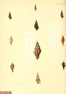 Download file gốc Tranh sơn dầu phương tây tổng hợp STS9530 (độ nét cao)