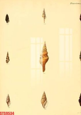 Chi tiết file tranh tráng gương Tranh sơn dầu phương tây tổng hợp STS9534 (ảnh gốc)