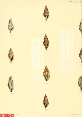 Tải file PSD Tranh sơn dầu phương tây tổng hợp STS9542 (nguyên layer) để in