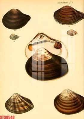 Download file gốc Tranh sơn dầu phương tây tổng hợp STS9543 (in mica) 3D