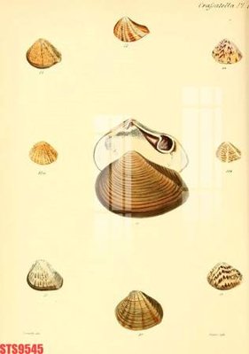 File tranh Tranh sơn dầu phương tây tổng hợp STS9545 (gốc) chủ đề con người