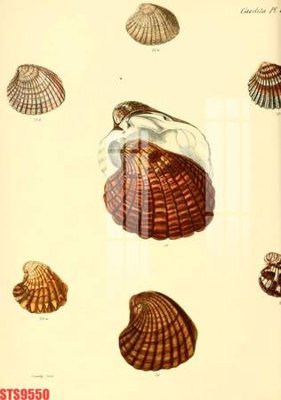 File gốc in mica Tranh sơn dầu phương tây tổng hợp STS9550 chất lượng