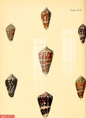 File ảnh Tranh sơn dầu phương tây tổng hợp STS9560 (gốc) cho trang trí nhà hàng