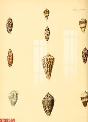 File gốc Tranh sơn dầu phương tây tổng hợp STS9564 (cho in ấn) từ kho Filetranh