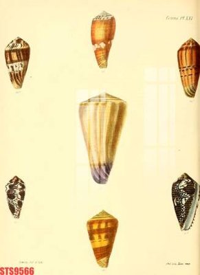 Tải file Tranh sơn dầu phương tây tổng hợp STS9566 (gốc) làm file quảng cáo