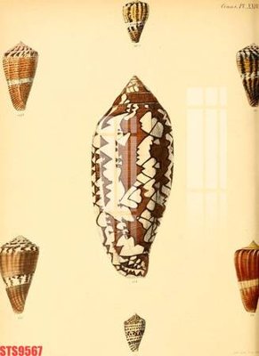 File gốc Tranh sơn dầu phương tây tổng hợp STS9567 (PNG) chất lượng cao