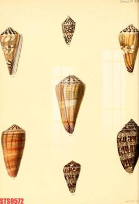 File tranh Tranh sơn dầu phương tây tổng hợp STS9572 (gốc) in film