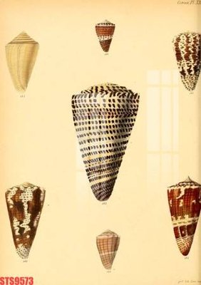 Download file gốc Tranh sơn dầu phương tây tổng hợp STS9573 (in mica) logo