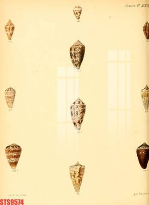 Tải file gốc Tranh sơn dầu phương tây tổng hợp STS9574 (in khổ lớn) không mờ