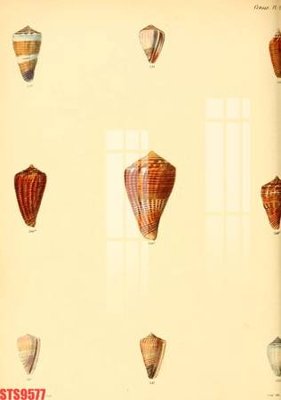 File tranh Tranh sơn dầu phương tây tổng hợp STS9577 (ảnh gốc) in trần xuyên sáng