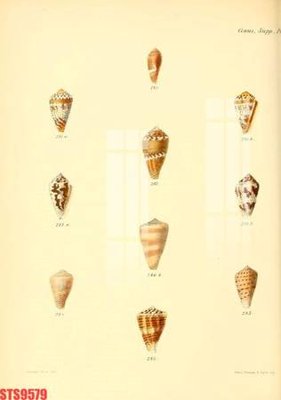 File tranh Tranh sơn dầu phương tây tổng hợp STS9579 (gốc) chủ đề thành phố