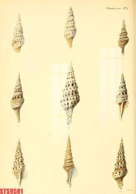 Ảnh mô tả file gốc in mica Tranh sơn dầu phương tây tổng hợp STS9581