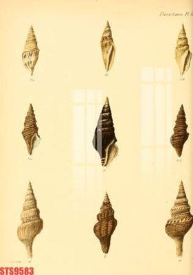 Download file gốc Tranh sơn dầu phương tây tổng hợp STS9583 (in lụa) nghệ thuật