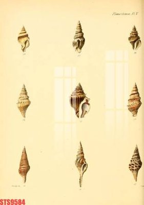 File tranh Tranh sơn dầu phương tây tổng hợp STS9584 (gốc) chủ đề thành phố