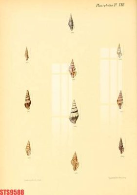 File tranh Tranh sơn dầu phương tây tổng hợp STS9588 (ảnh gốc) in trần xuyên sáng