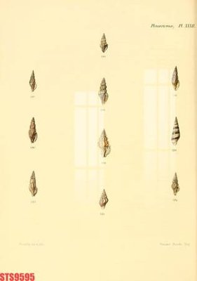 File tranh trang trí Tranh sơn dầu phương tây tổng hợp STS9595 (tải file gốc)