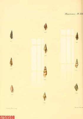 File gốc Tranh sơn dầu phương tây tổng hợp STS9598 (chuẩn màu) cho in offset