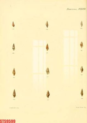 Chi tiết file gốc Tranh sơn dầu phương tây tổng hợp STS9599 (cho in tráng gương)