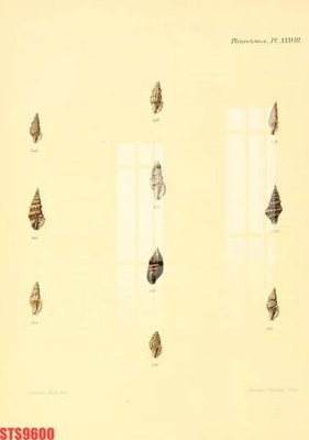 Mua file ảnh gốc Tranh sơn dầu phương tây tổng hợp STS9600 (chất lượng cao)